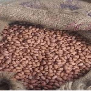 Groundnut